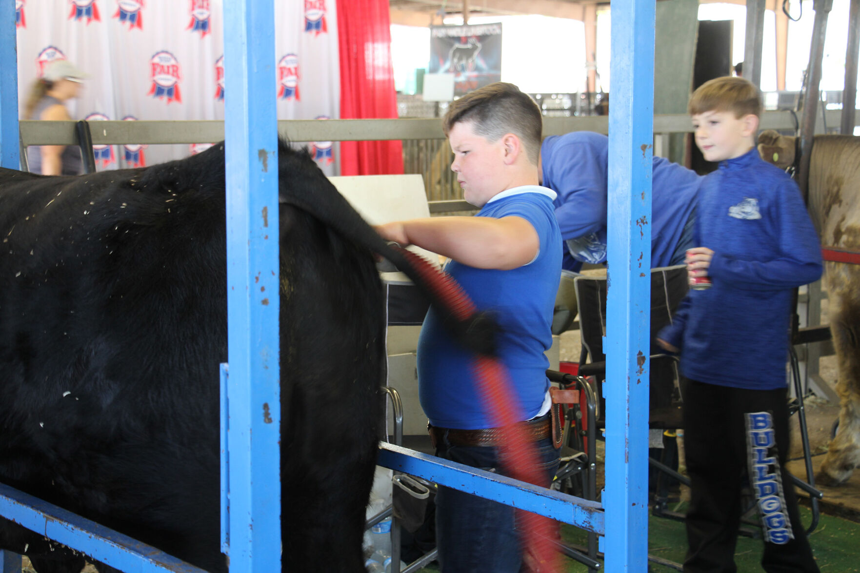 PHOTOS: More from the Scotts Bluff County Fair 2020